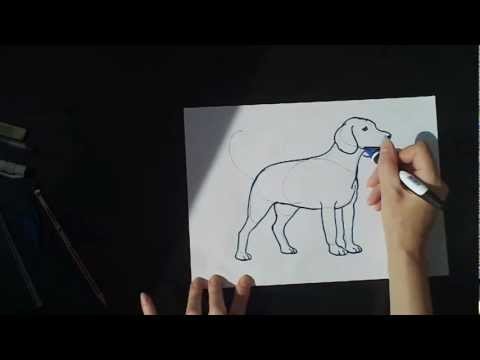 рисуем собаку