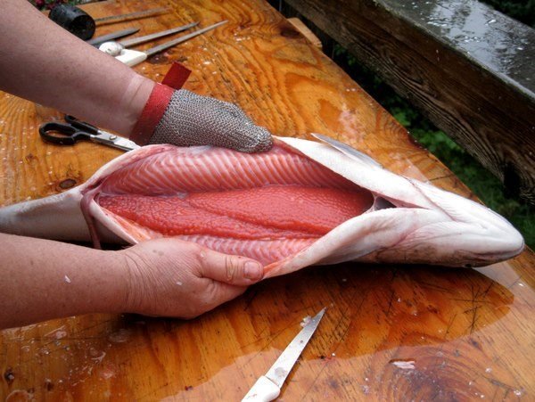 Как засолить целиком красную рыбу в домашних условиях рецепт