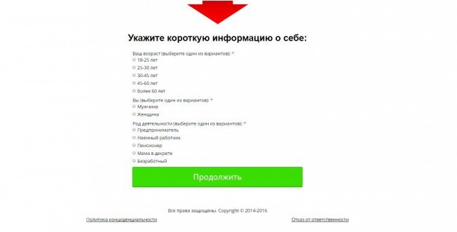 Сайт "internetmoneta.ru": информация о себе