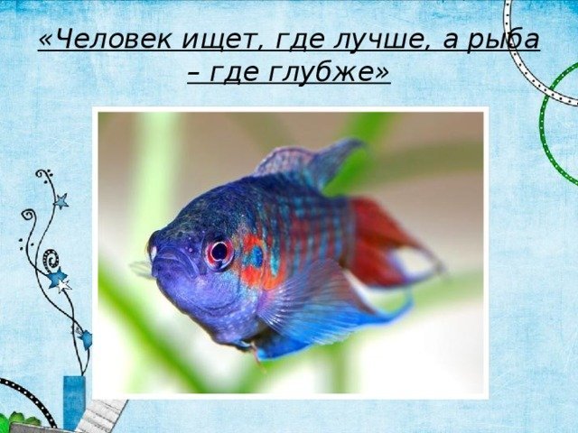 Человек Рыба Фото