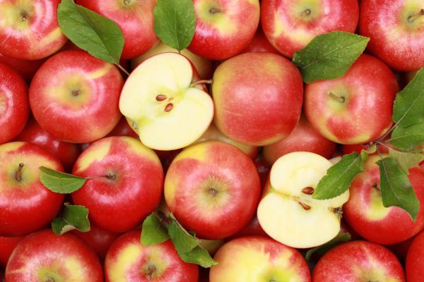 яблоки: в чем их польза