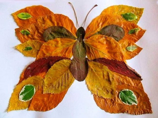 бабочка из природного материала
