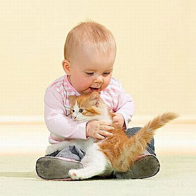 малыш и котенок