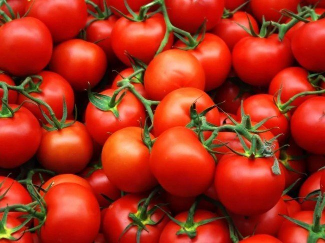 томаты красные