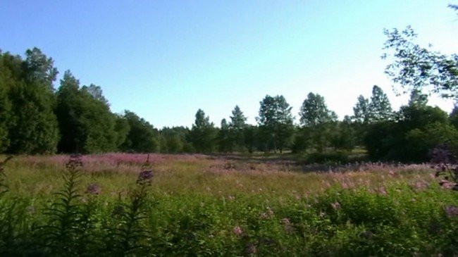 Урочище Илкодино