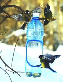 Кормушка для птиц из пластиковой бутылки.