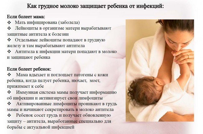Как грудное молоко защищает младенца