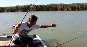 рыбалка - как ловить налима