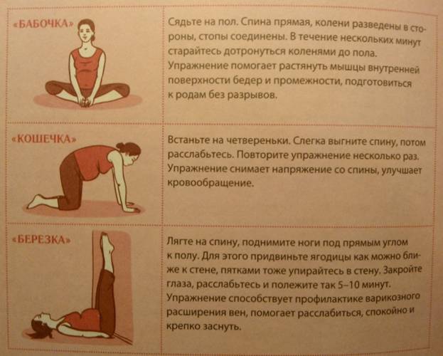 Практическое задание по теме Физические упражнения во время беременности 