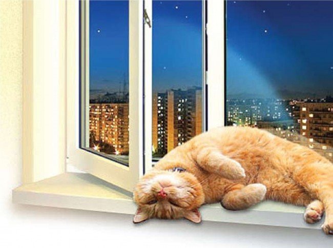 Кот на окне из ПВХ