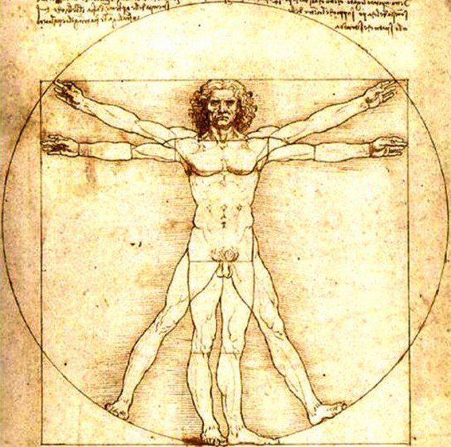 анатомия Леонардо