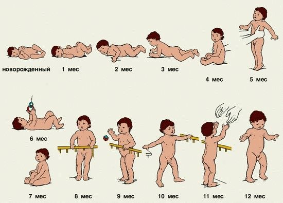 этапы развития ребенка