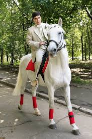 Принц на белом коне