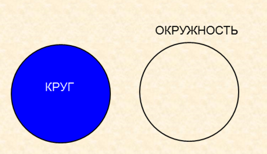 окружность и круг