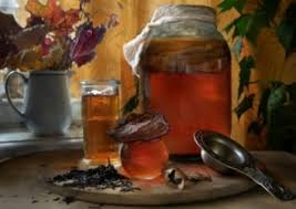 Полезные свойства напитка из чайного гриба.