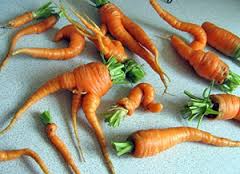 почему уродливая морковь