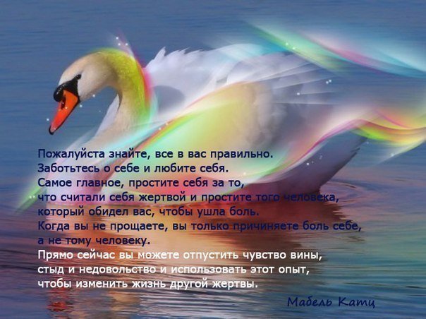 Унихипили и человек