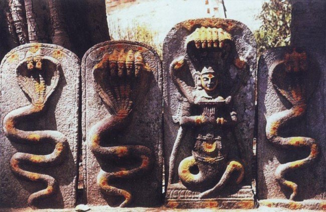 Культ змеи в Индии