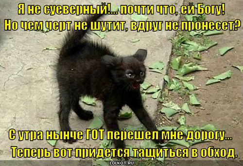 fd439bafa75c984c070c4fe828f832b7.jpg