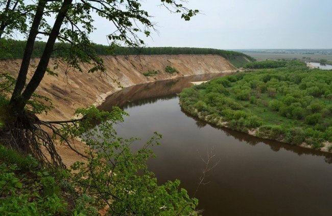 Урочище Кривоборье, берега р. Дон