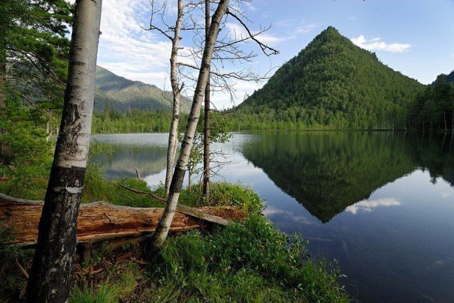 лето в России и тепло
