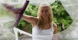Сквидж - специальный инструмент для мытья окон