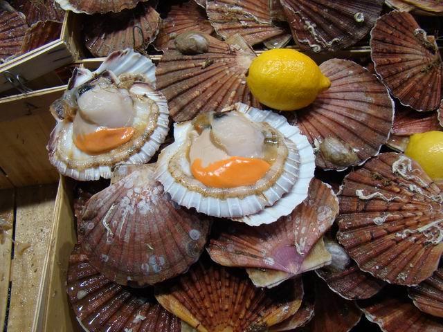 какие морепродукты можно есть сырыми. Смотреть фото какие морепродукты можно есть сырыми. Смотреть картинку какие морепродукты можно есть сырыми. Картинка про какие морепродукты можно есть сырыми. Фото какие морепродукты можно есть сырыми