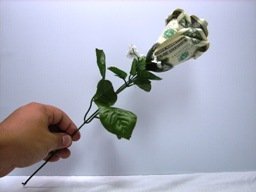 цветок из денег