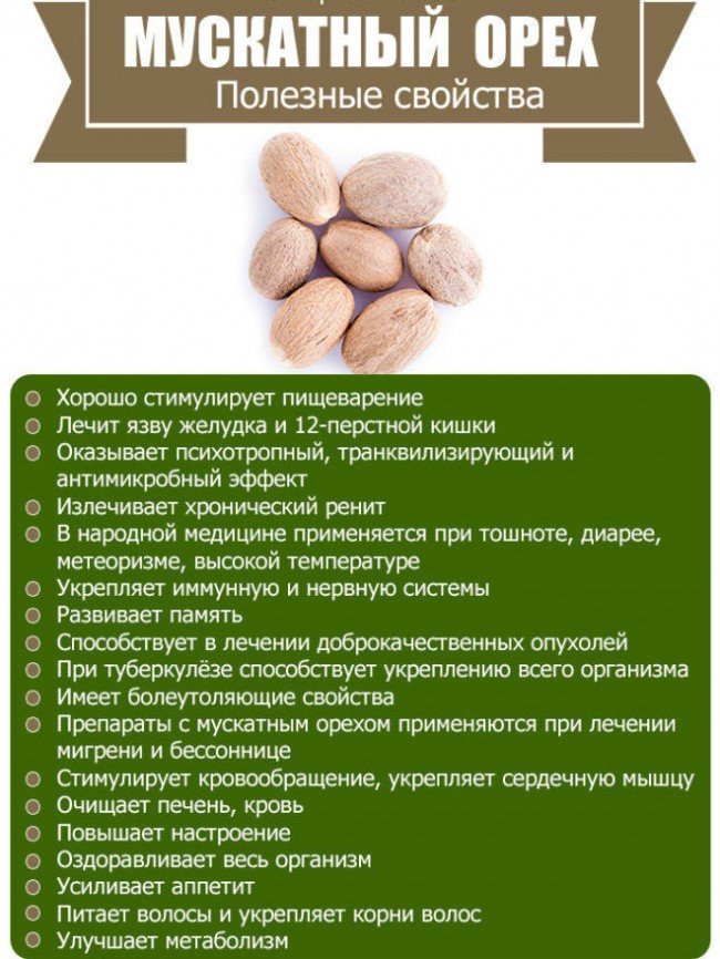 Мускатный орех - полезные свойства