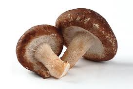 Целебные свойства гриба шиитаке.
