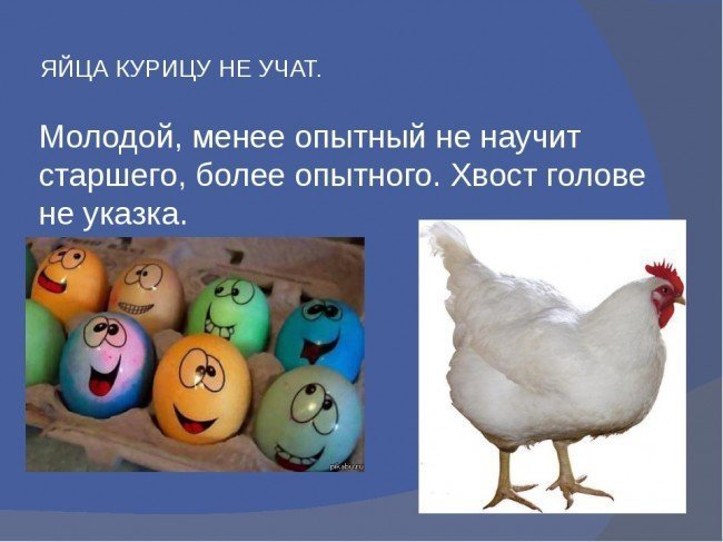 Откуда пошло выражение "яйца курицу не учат"?
