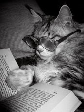 я и кот читаем
