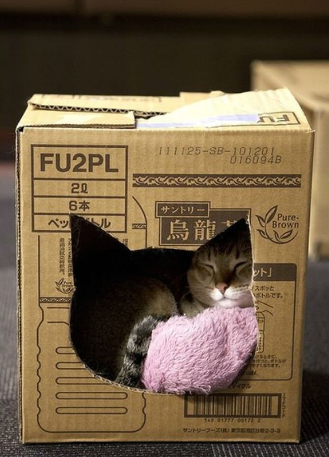 коробка для кошки