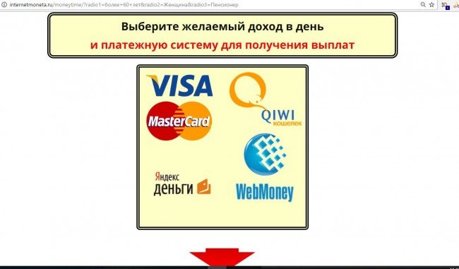 Сайт "internetmoneta.ru": сведения о платежной системе