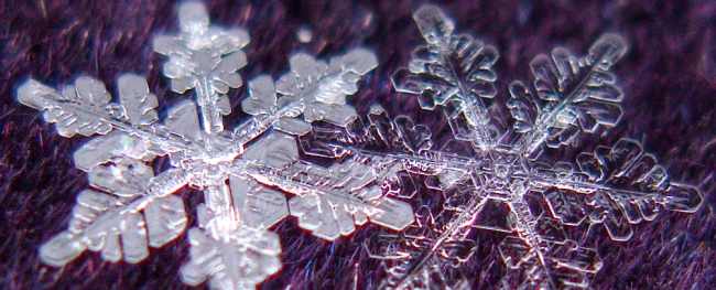 снежинка под микроскопом