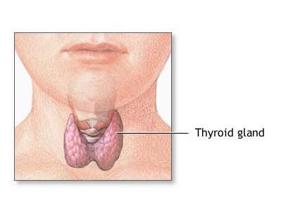 боль в горле при болезни щитовидной железы