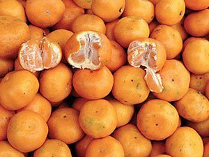 мандарины - Родина фрукта