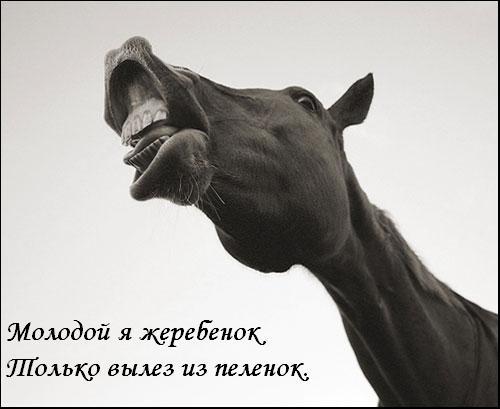 Вранье