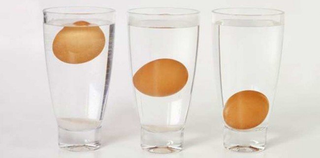 проверка яиц на свежесть