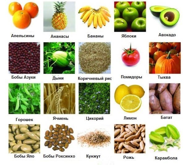Пребиотики в овощах и фруктах