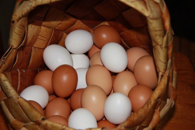 яйца - что приготовить