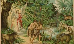 С какого дерева съели плод Адам и Ева?