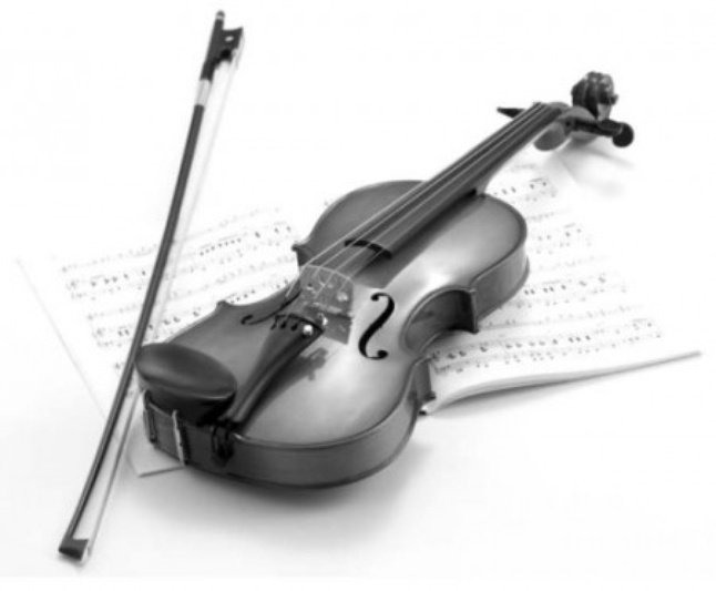 скрипка "Черный дрозд"