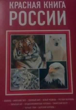 Какие животные внесены в Красную книгу России