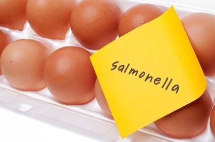 сальмонелла и яйца