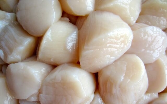 Как правильно и вкусно приготовить морской гребешок?