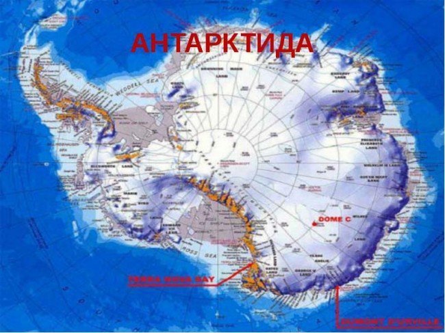Кто открыл Антарктиду