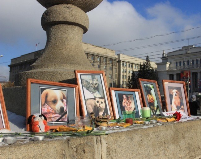 акция протеста