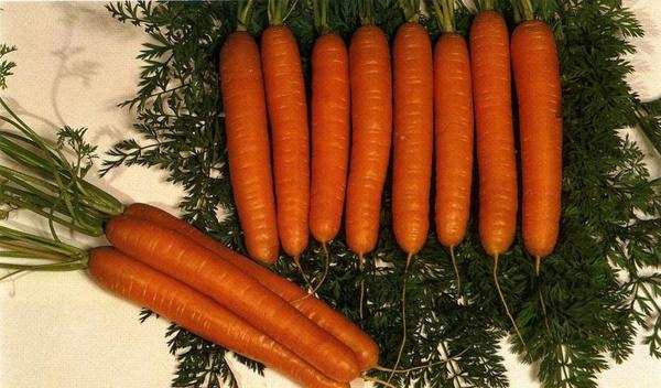Чем подкормить морковь