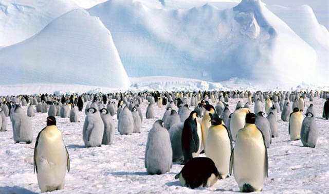 Какой "рекорд" был установлен ветром в Антарктиде?